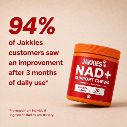 Jakkies NAD+ Support Chews